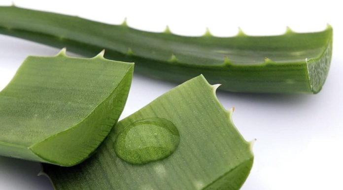 Use these four magical Aloevera tricks for better skin