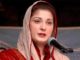 Maryam Nawaz tells government to stop “merciless torture”