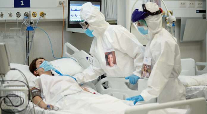 Lethal black fungus identified in Covid patients