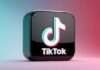 “Digital Well-being Webinar” conducted by TikTok