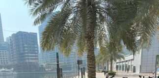 Dubai to Introduce Free Careem Bike Rides for All