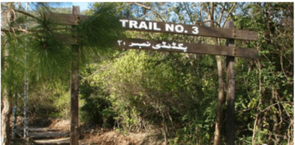 Woman Raped in Islamabad’s Hiking Trail in Disguise of Job Offer