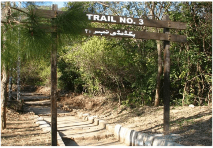 HIKING TRAIL 3