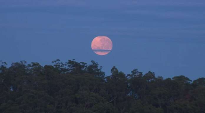 Best images of rare blue supermoon worldwide
