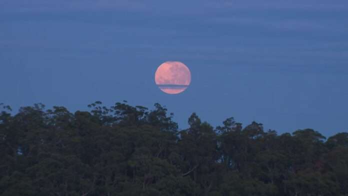 e3a76983-6af3-495e-af42-f84d980d2891