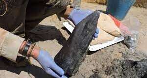 The world’s oldest wooden structure was discovered in Zambia.