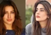 Content filed before the SHC accusing Kubra Khan and Mehwish Hayat