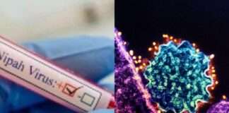 Sindh issues a warning to stop the spread of the dangerous zoonotic disease, Nipah virus alert.