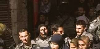 In the midst of the Israel-Gaza War, Pakistani celebrities Dananeerr and Saba Qamar support Palestine.