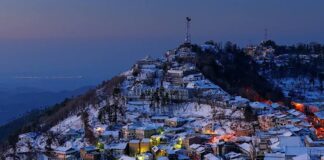 Kotli Sattian and Murree established forest reserves