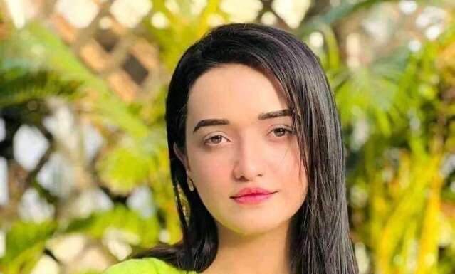 As the LHC upholds the rejection of candidature papers, Parvez Elahi and Hammad Azhar withdraw from the electoral race