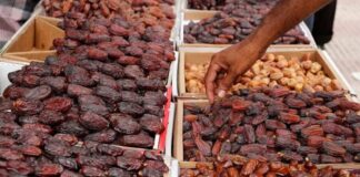 100 tons of dates are sent to Pakistan by Saudi Arabia