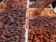 100 tons of dates are sent to Pakistan by Saudi Arabia