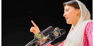 Punjab CM Maryam Nawaz announces distribution of 50,000 solar systems