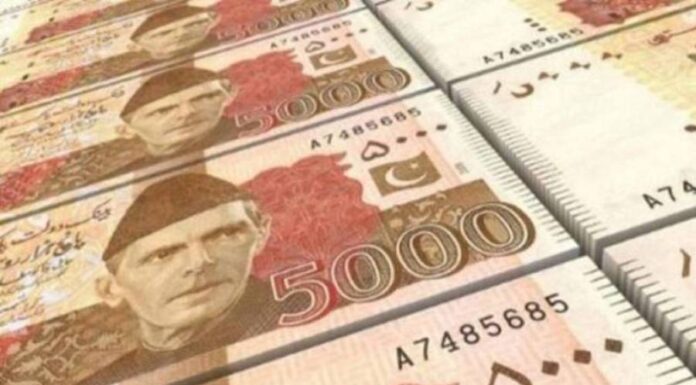 Pension reforms approved, but now how long will the family get pension? Such news that government employees will also be filled with jobs after reading it