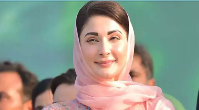 Ending plastic pollution is our responsibility: Maryam Nawaz