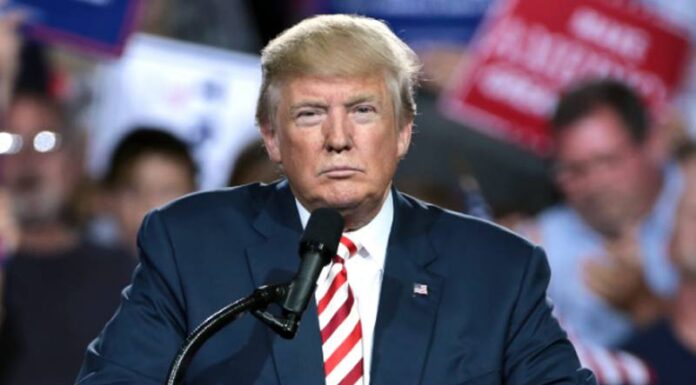 Where did Donald Trump suddenly reach after the murder attack? Shocking revelation