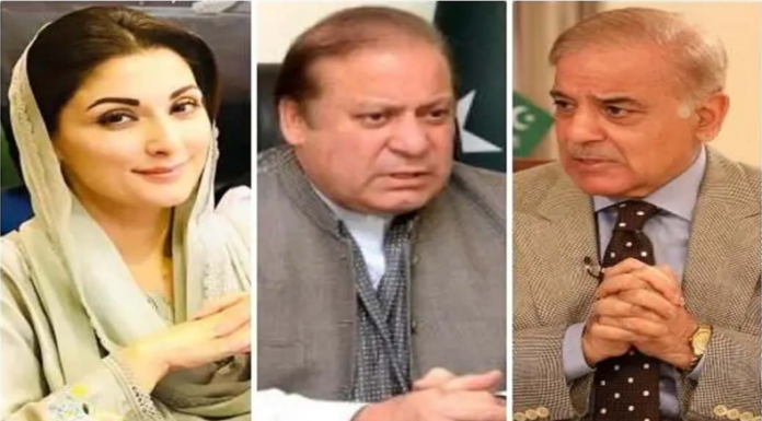 After the Prime Minister, the Chief Minister of Punjab also met with Nawaz Sharif