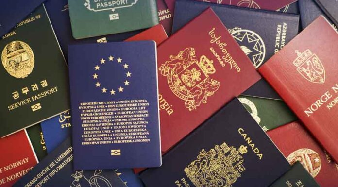 Asia’s top 10 passports 2024: Where does Pakistan stand?