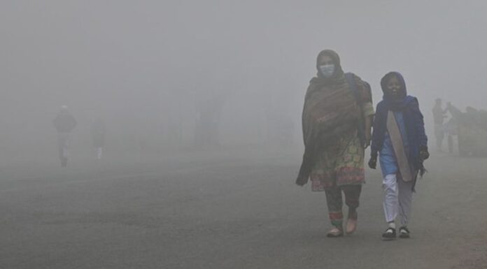 | Mohsin Khalid | Mohsin Ali | Rida Sindhu | Daniyal Umar