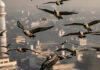 Migratory birds battle climate chaos