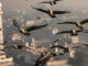 Migratory birds battle climate chaos