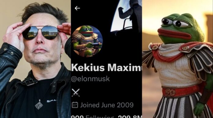 Decoded: The real reason for Elon Musk’s ‘Kekius Maximus’ X update