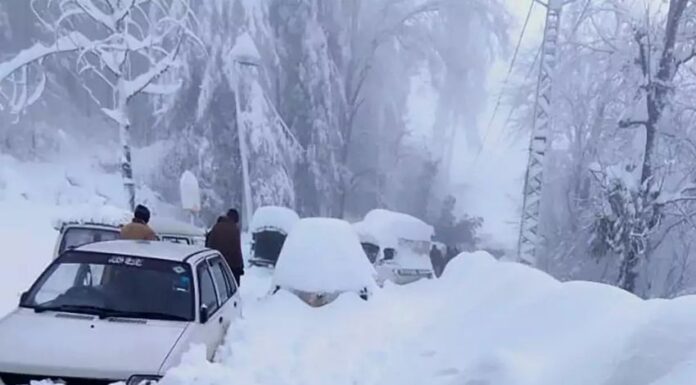 Rain, heavy snowfall forecast in first week of Jan 2025