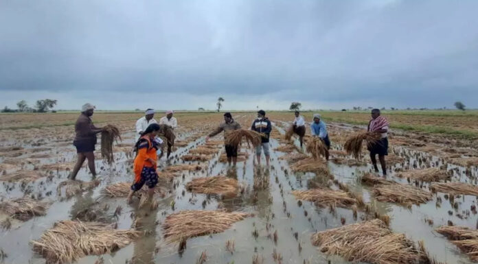 Why India’s agriculture remains unaffected by climate change