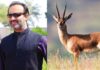 PTI senator Aon Abbas Buppi arrested for alleged Chinkara deer poaching