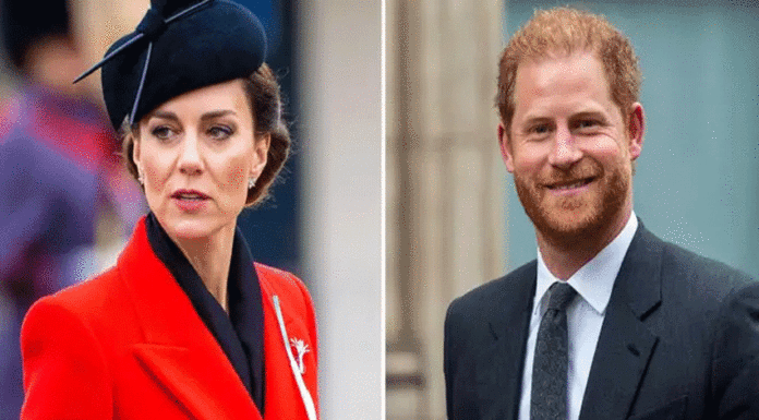 William furious? Prince Harry’s surprise visit to Kate Middleton exposed