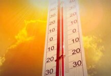 Heatwave alert: Punjab schools told to announce early summer holidays