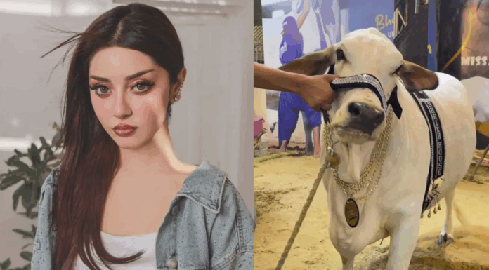 Alizeh Shah shares emotional message ahead of Eid-ul-Adha