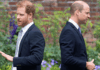 Prince Harry accuses William of sabotaging his bond with Hollywood icon